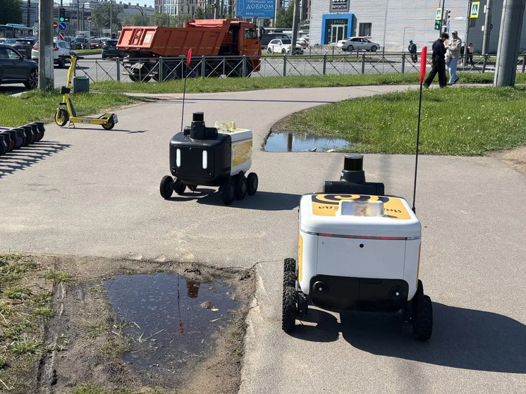     Парочка остановилась на перерыв: роботы никуда не ехали и просто стояли друг напротив друга. Фото: МК в Питере / Анна Глазырина