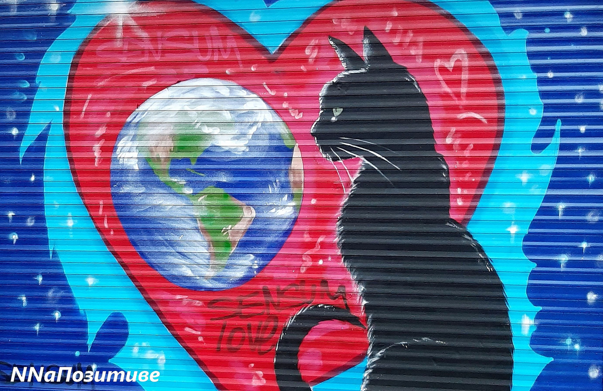 Стрит-арт с котом
