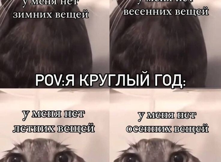 Котомемы