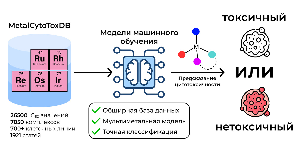 Применение полученной базы данных для предсказания цитотоксичности полученного комплекса металла с помощью модели машинного обучения 
