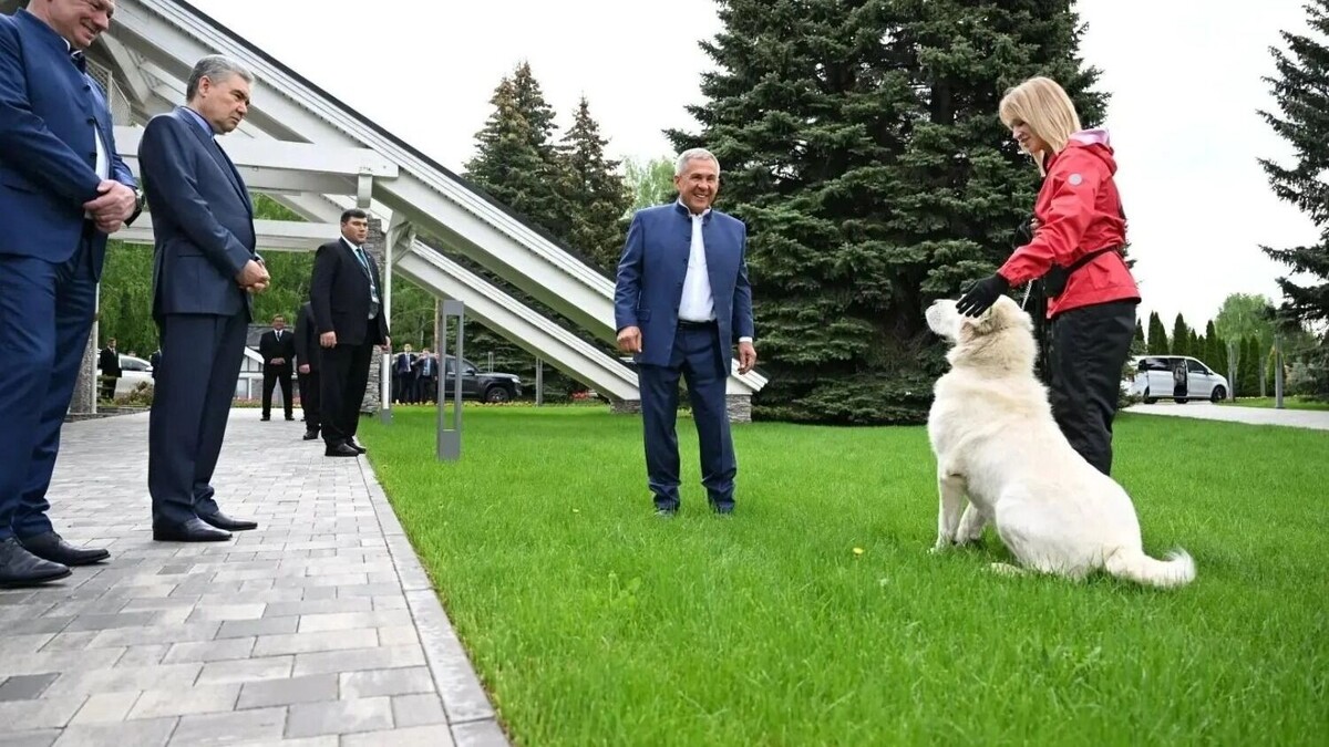   канал Рустама Минниханова в МАХ