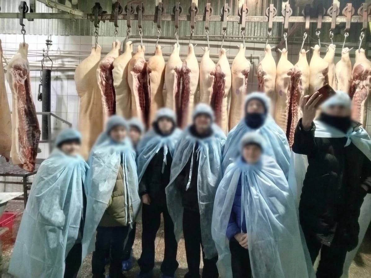 14-летние школьники из поселка Малиновка в Красноярском крае на экскурсии на скотобойне. 