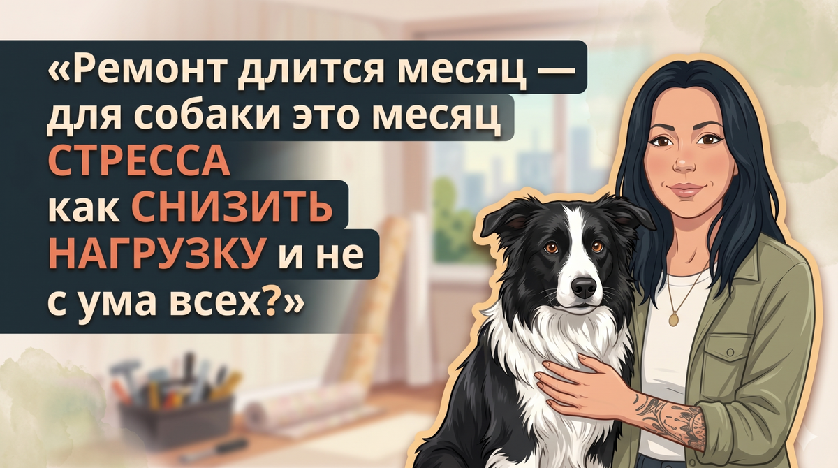    Как прожить ремонт с собакой так, чтобы всем было легче и спокойнее. Анна Марковская