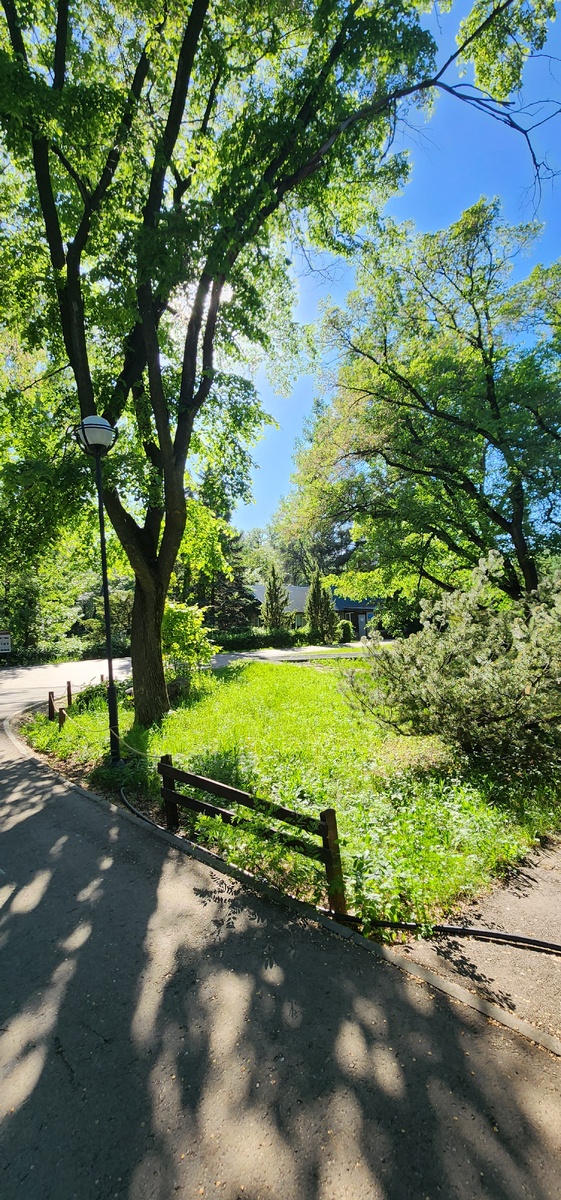 В глубине сада.