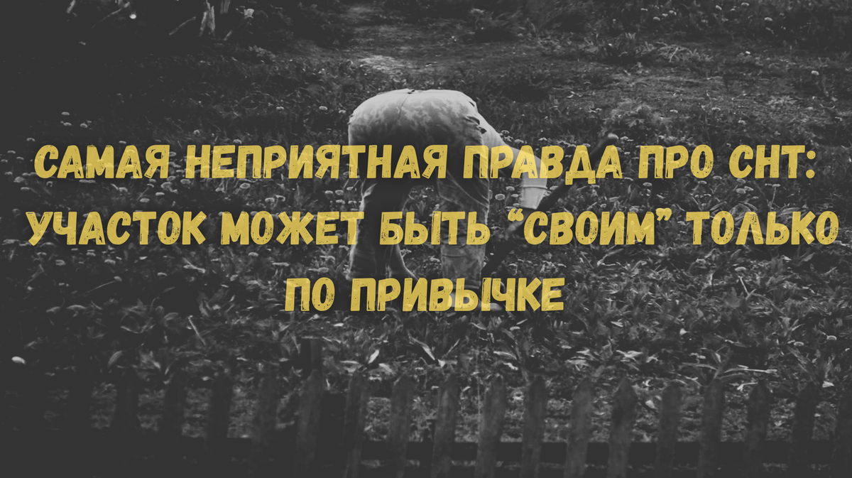 Многие в СНТ десятилетиями уверены, что участок давно их. А потом пытаются продать, подарить или оставить детям и узнают неприятную вещь: юридически земля все это время так и не была оформлена.