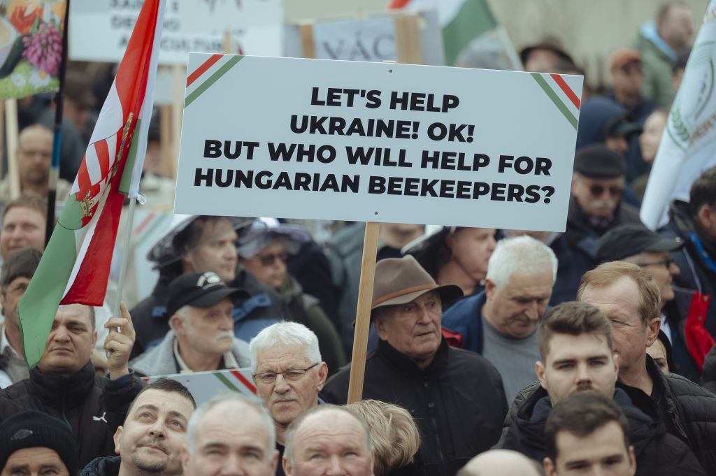 Robert Nemeti/Anadolu via Getty Images