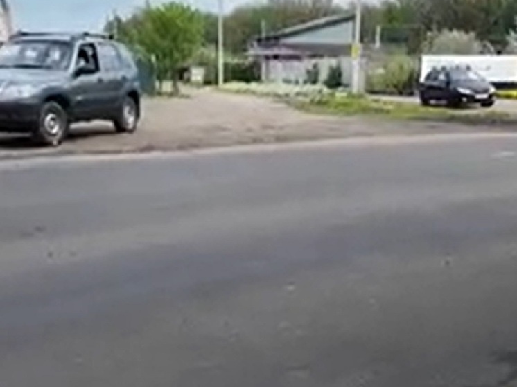     Фото: скриншот из видео Народного фронта Орловской области