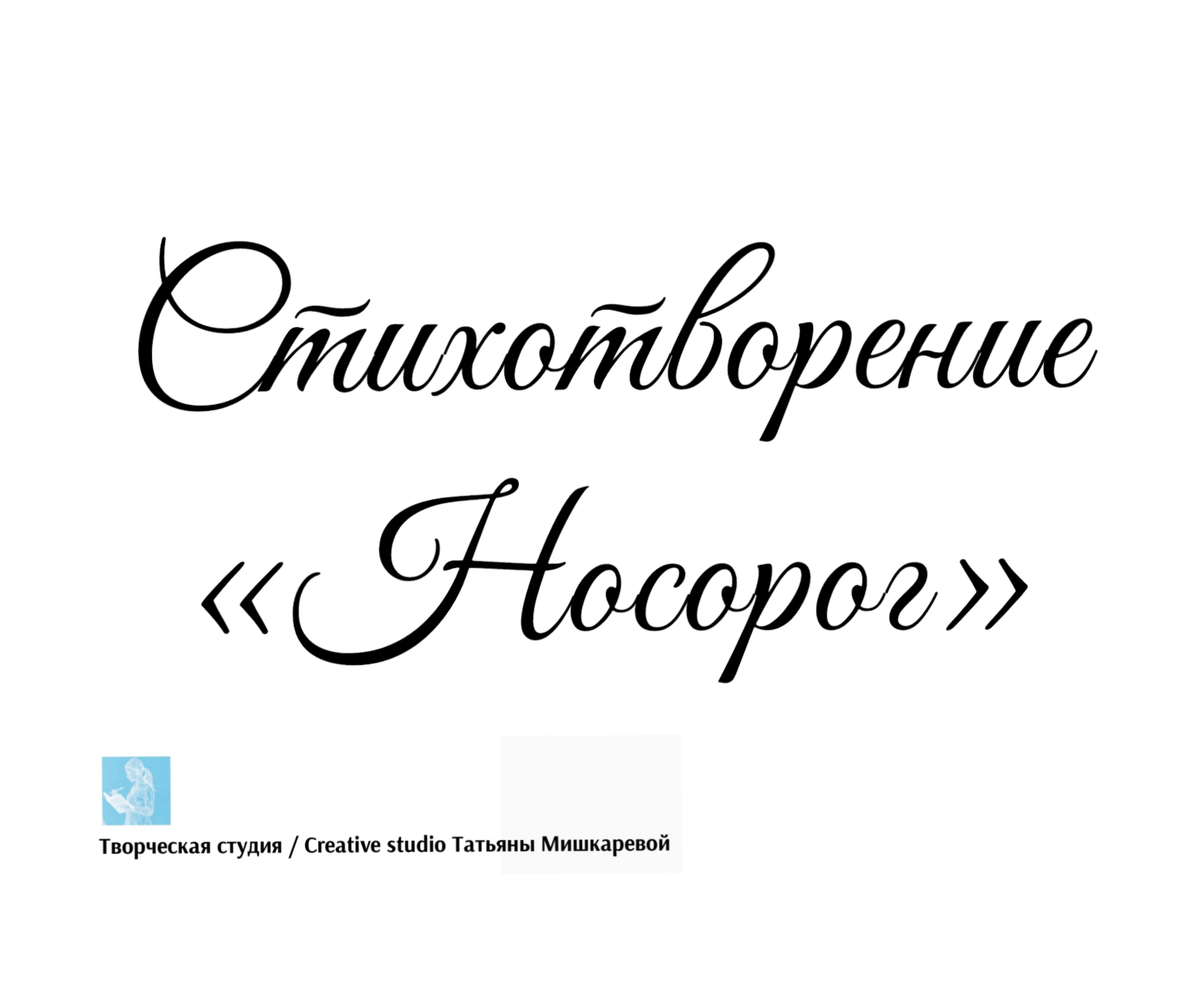 Стихотворение «Носорог», поэтесса Татьяна Мишкарева  