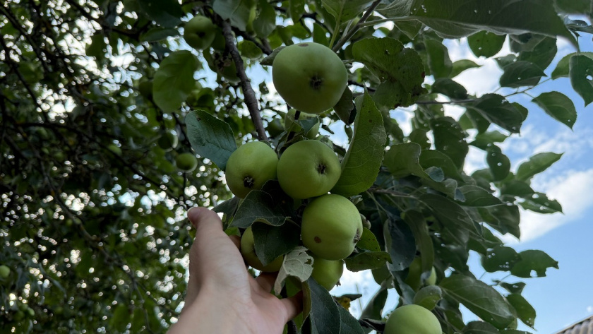    Фото из архива редакции