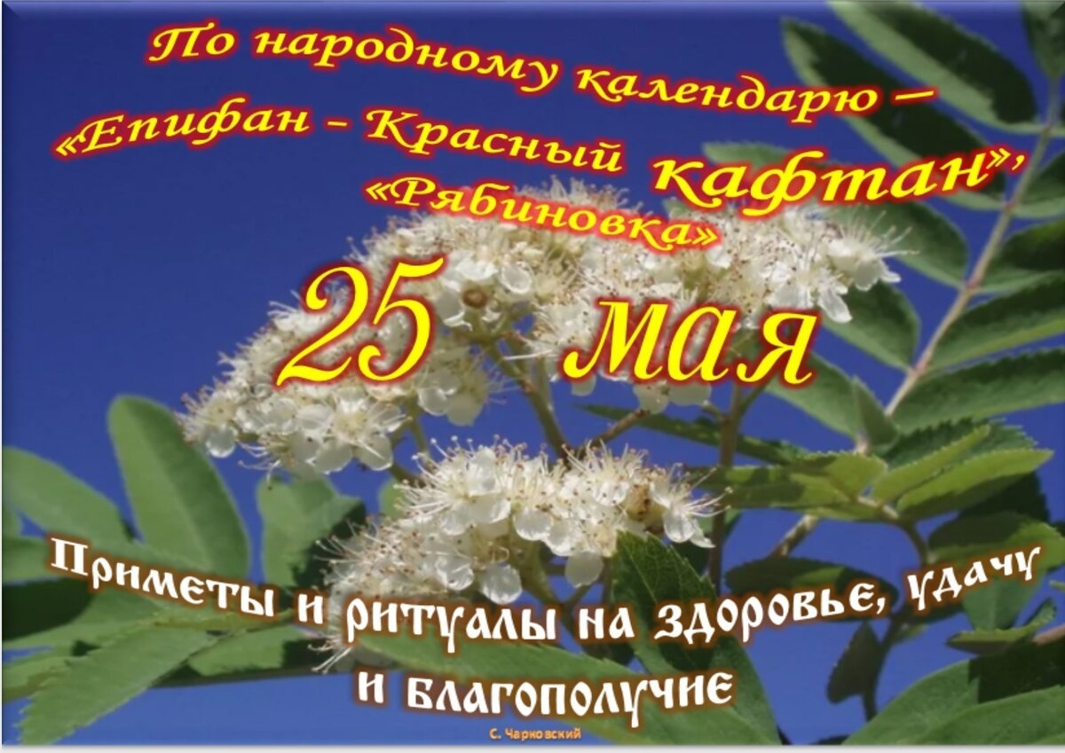 Встречаем новый день