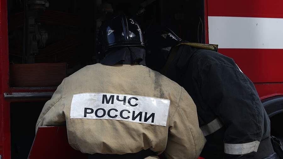    Фото: ИЗВЕСТИЯ/Павел Бедняков