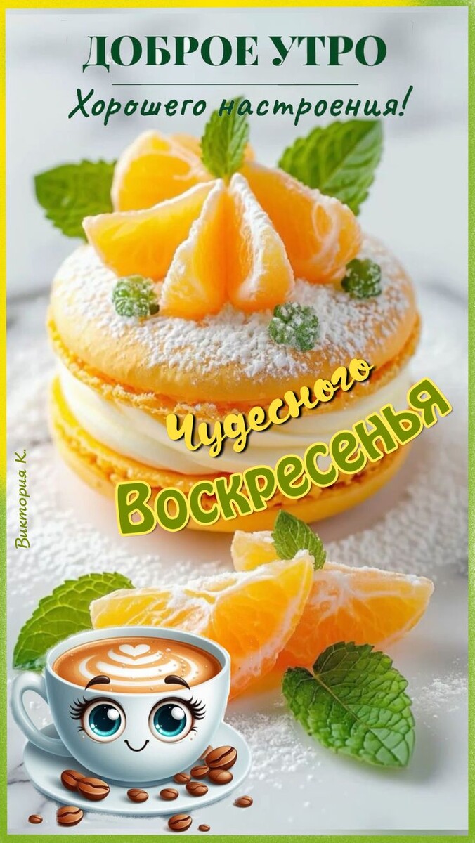 Фото из открытого источника в интернете.