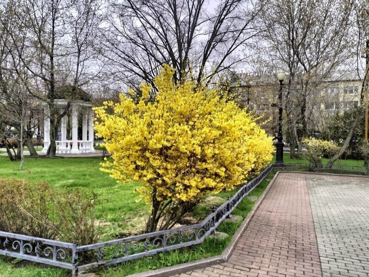     Фото: МК на Сахалине