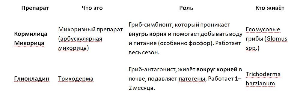 Таблица и фото Натальи Мироновой