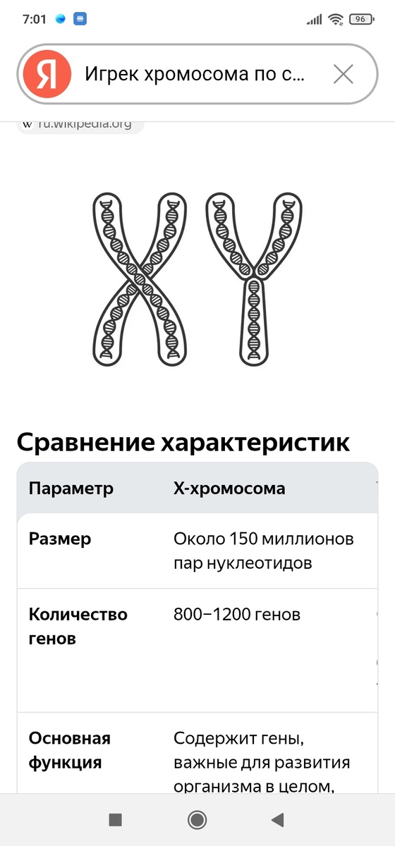 А всё просто! У мужиков одна из хромосом дефектная