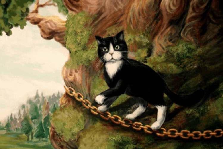 Кот учёный