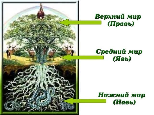 Изображение из Интернета.