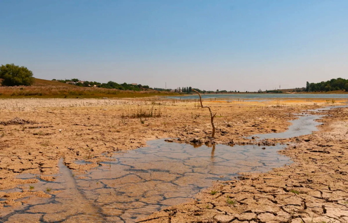 Большая вода уходит: почему мелеют наши реки и что теряет рыболов