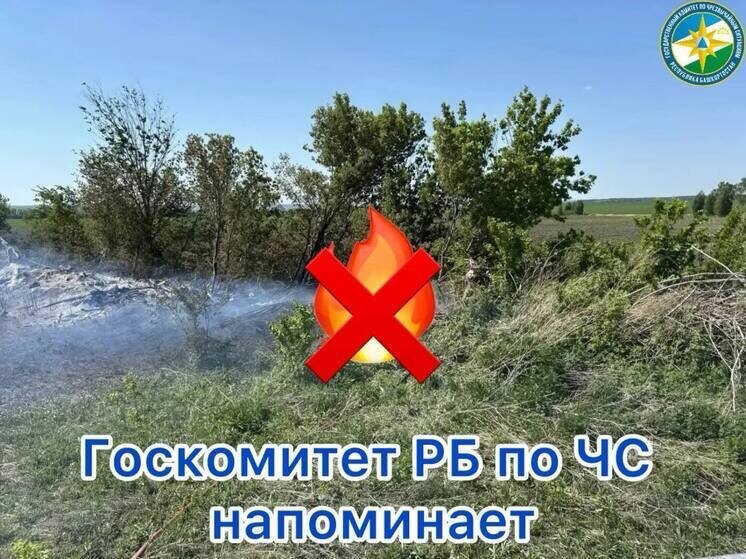     Фото госокмитета по ЧС