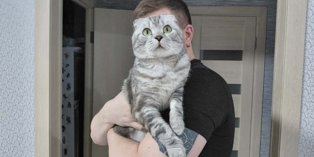 Почему кошки мурчат