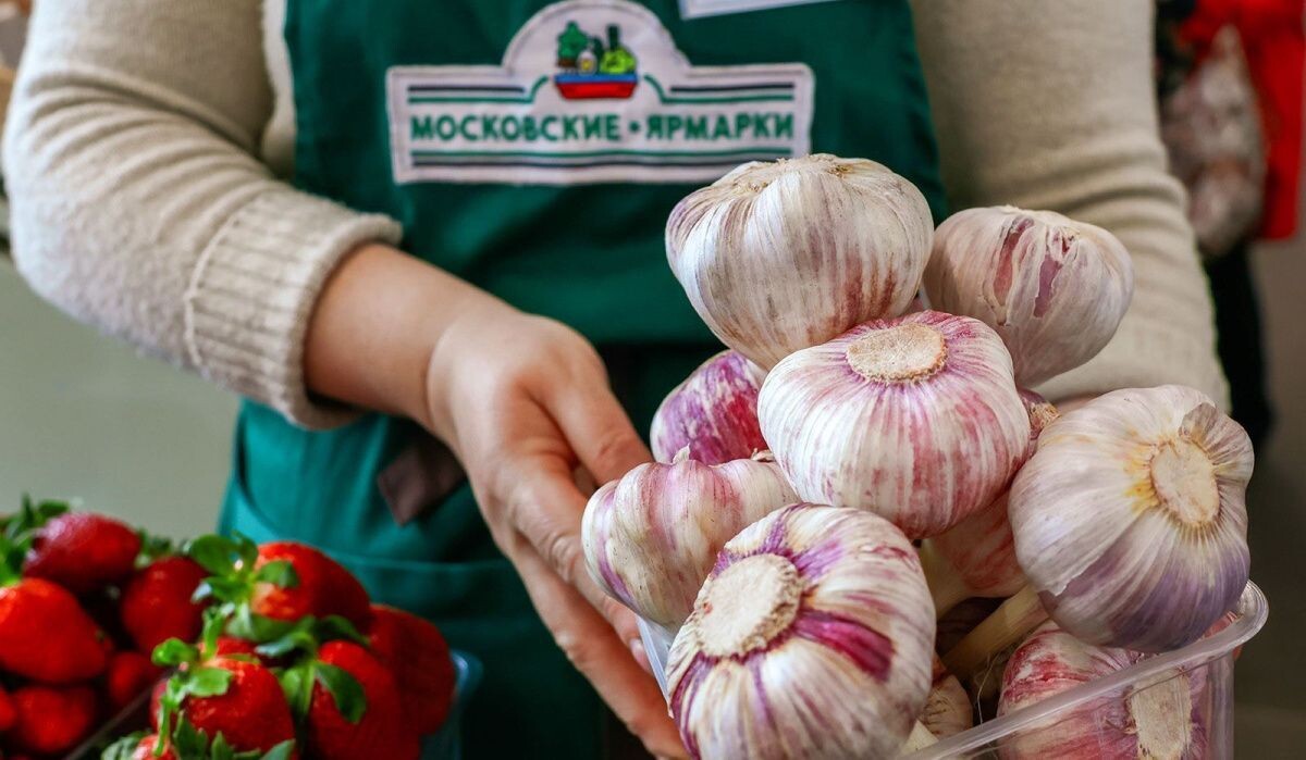     Чеснок. Источник: mos ru Автор фото: Пресс-служба Мэра и Правительства Москвы