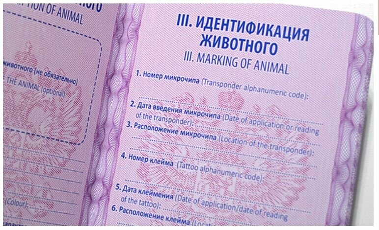 Источник: http://pet-passport.com/