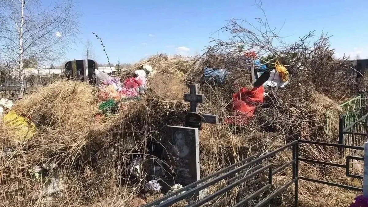  прокуратура Челябинской области