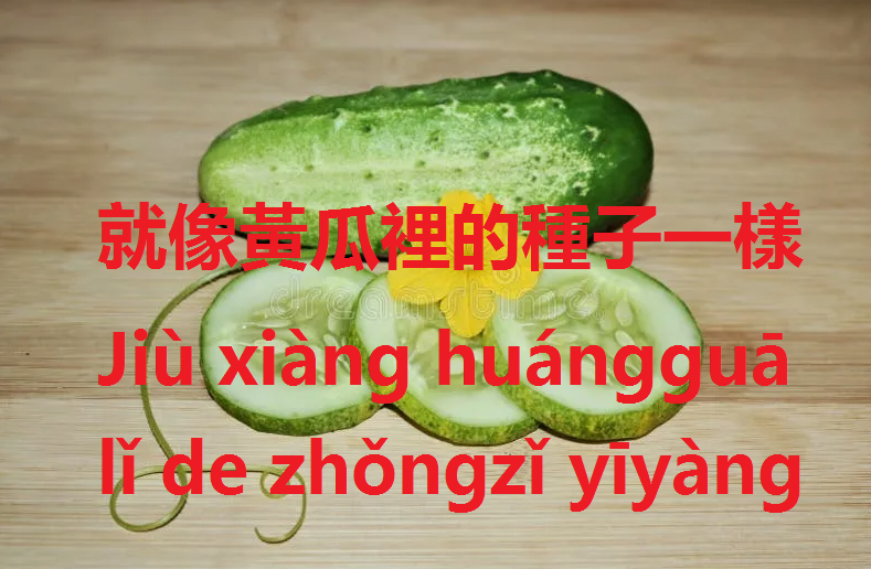 就像黃瓜裡的種子一樣   Jiù xiàng huángguā lǐ de zhǒngzǐ yīyàng.