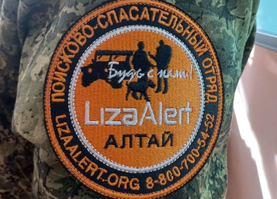    "ЛизаАлерт". Источник: "Толк"