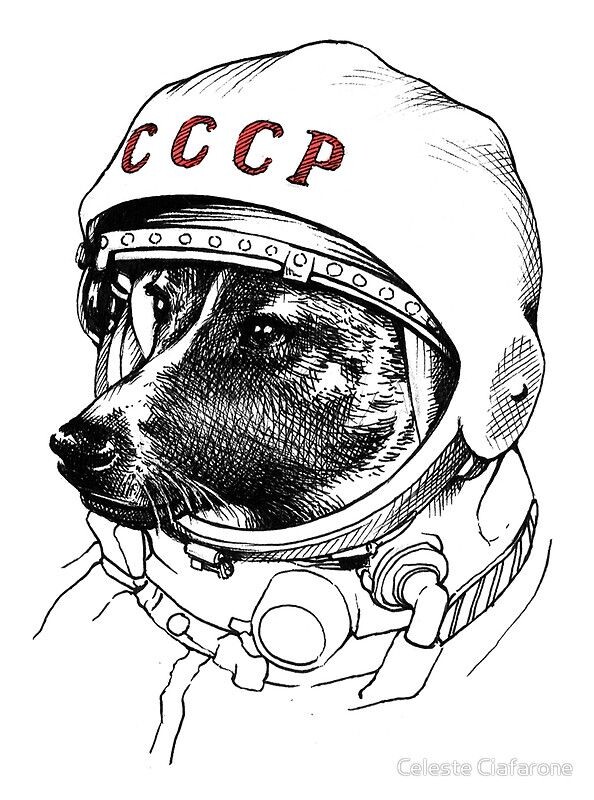 «Она не вернулась. Но изменила всё»