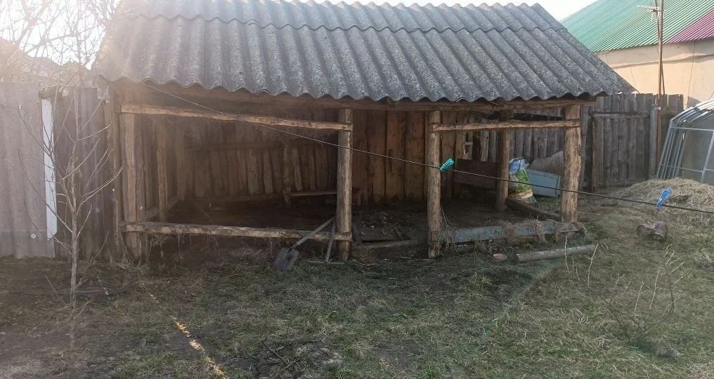 Я И ЛОШАДЬ, Я И БЫК ИЛИ КАК Я ЗАБОР САМА СТРОИЛА