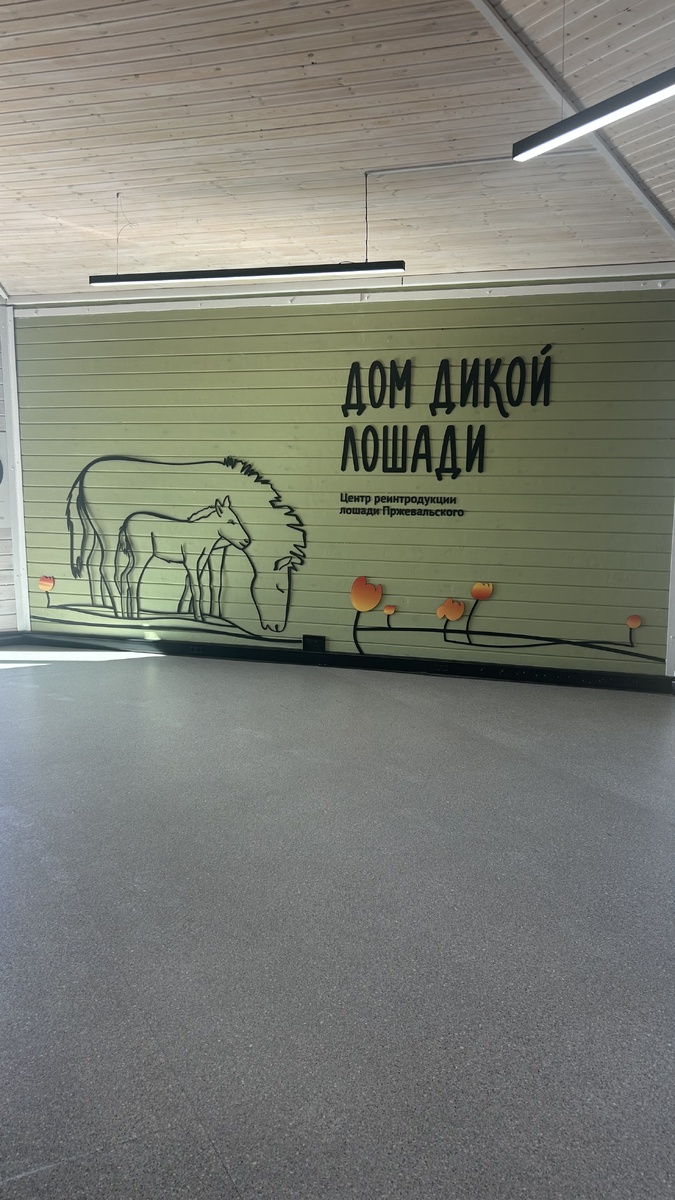 Внутри музея