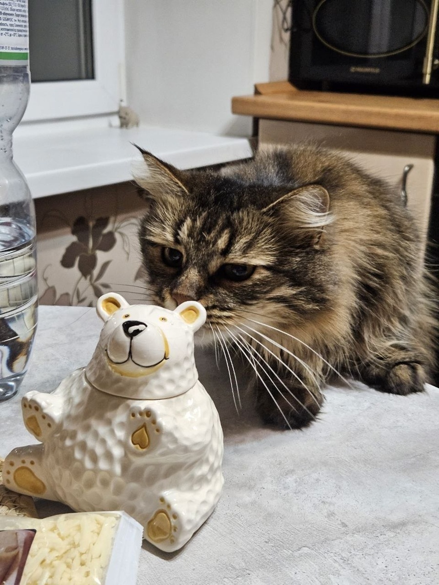 Это точно по запаху не кот, и мне это нравится