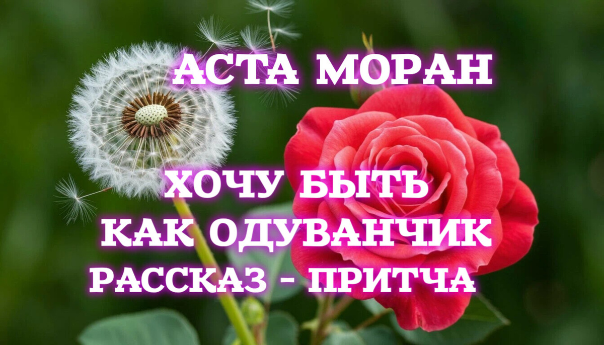 Я крикнула пионам: «Поговорите со мной!». Они молчали — утонув в собственной пушистой гордыне, как в перине. Я звала нарциссов — те, конечно, только любовались своим отражением в лужах. Даже акация лишь покачивала головой, будто говоря: «Детка, ты не одна из нас».