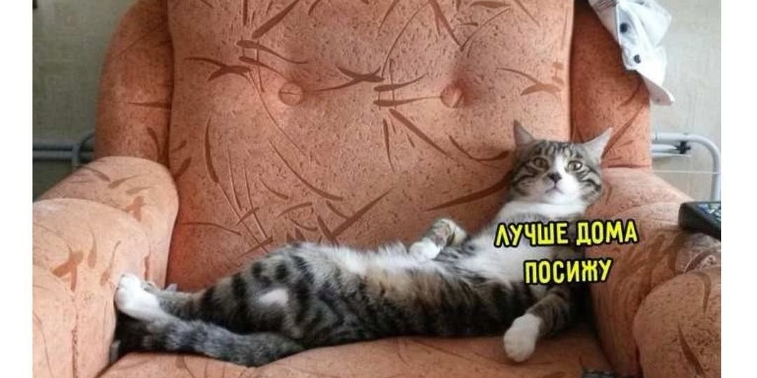 Котомемы