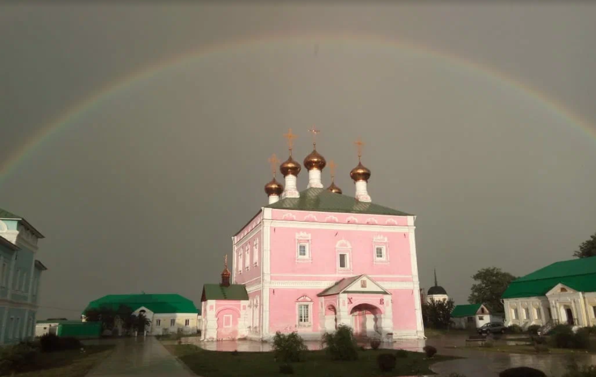 Фото автора. Лето в Подмосковье