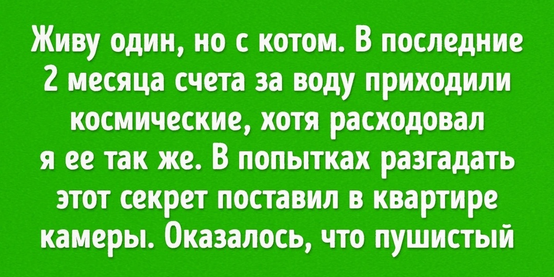 10+ историй о том, что жизнь с котом всегда праздник. Для кота