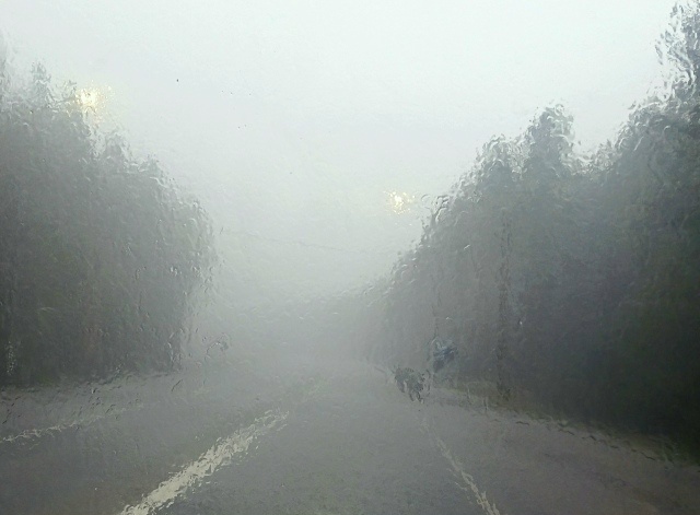    ГАИ Карелии