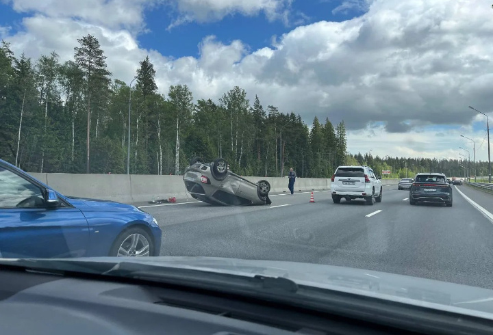 фото: @good78news