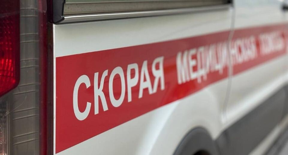   REGIONS/Полина Крачун
