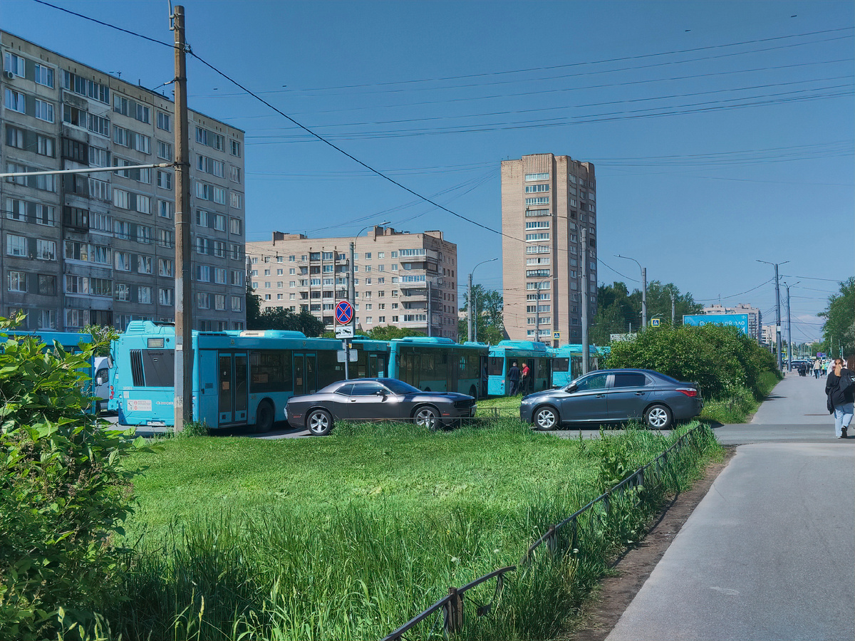 пробка из автобусов