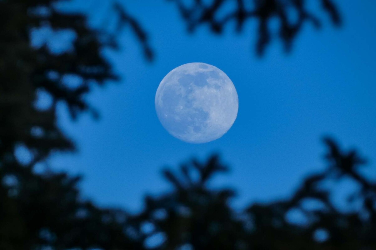    Фото: Kym MacKinnon, Unsplash