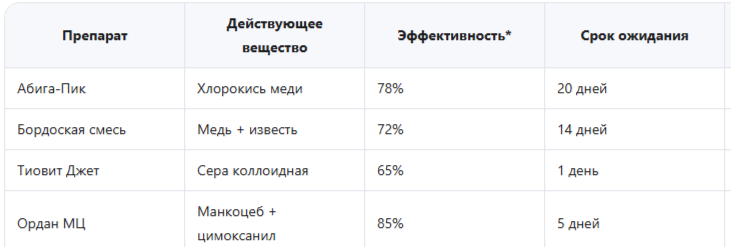 Группа А: Контактные фунгициды (профилактика)