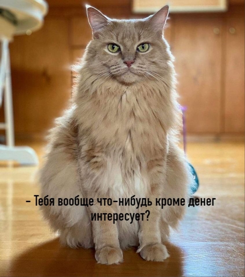 источник Яндекс-картинки