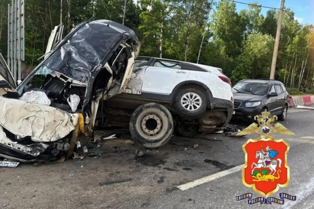    Фото: ГУ МВД по Московской области