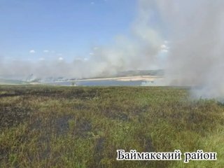 В Башкирии произошел еще один лесной пожар