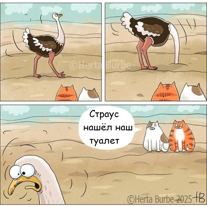 Источник: hertaburbe.com