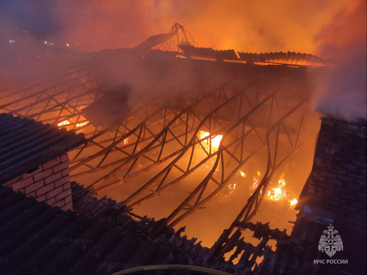     фото: пресс-служба мчс по брянской области