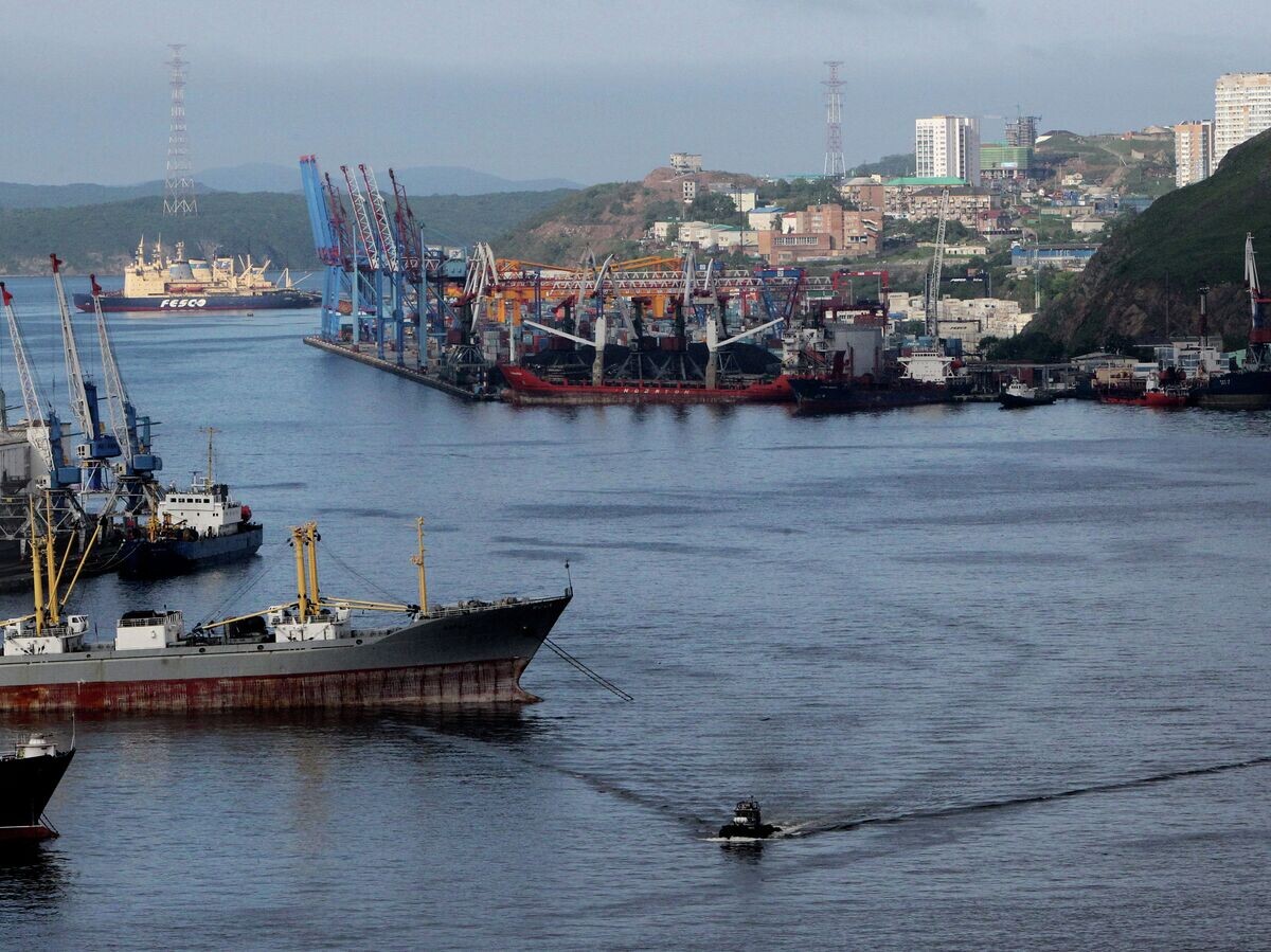    Вид на порт и корабли в бухте Золотой Рог во Владивостоке | © РИА Новости / Виталий Аньков