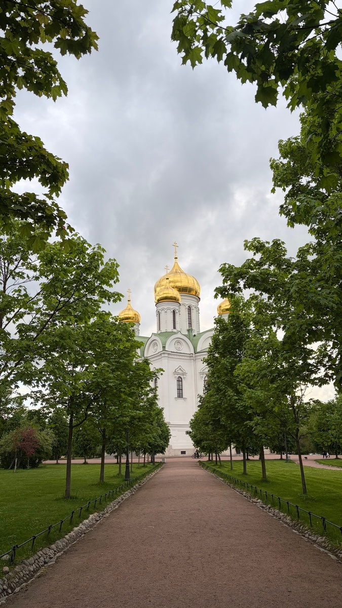 Вид на Екатерининский собор со сторы трактира.
